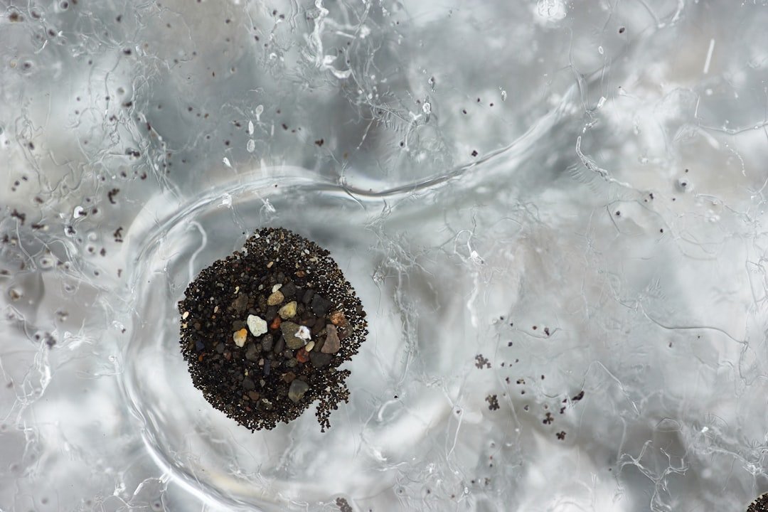 Photo Choose Between Natural and Lab-Grown Sapphire