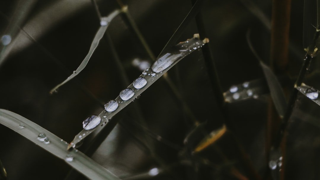 Photo Lab-Grown Sapphire Revolution